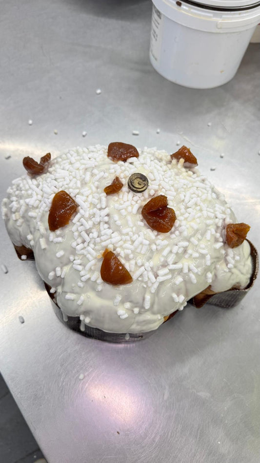 COLOMBA ALBICOCCHE PELECCHIELLE DEL VESUVIO